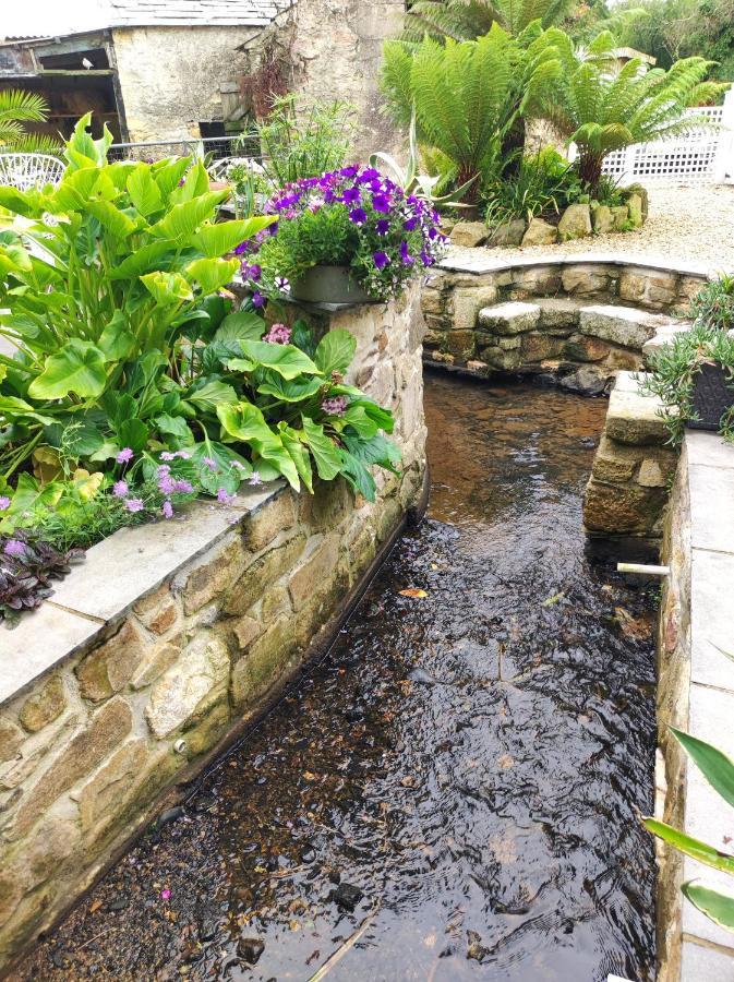 Pleasant Streams Barn Bed & Breakfast St Austell Ngoại thất bức ảnh